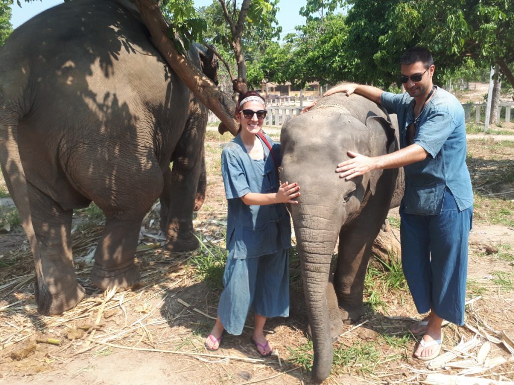 Una giornata con gli elefanti a Chiang Mai
